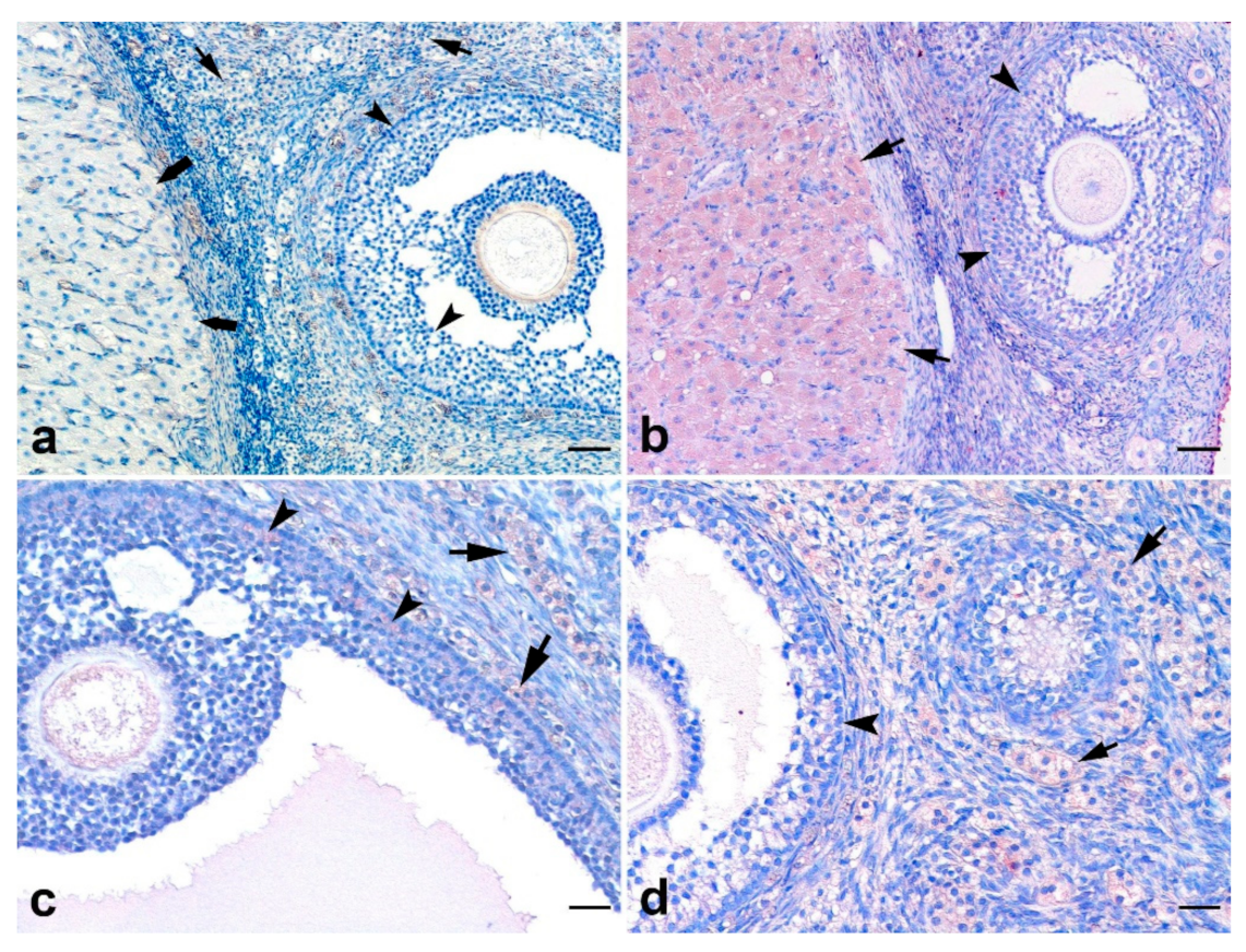 Animals 12 00877 g007