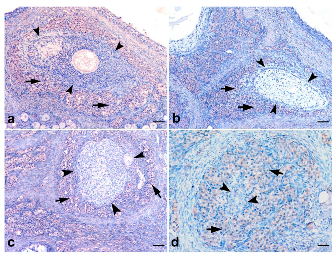 Animals 12 00877 g008