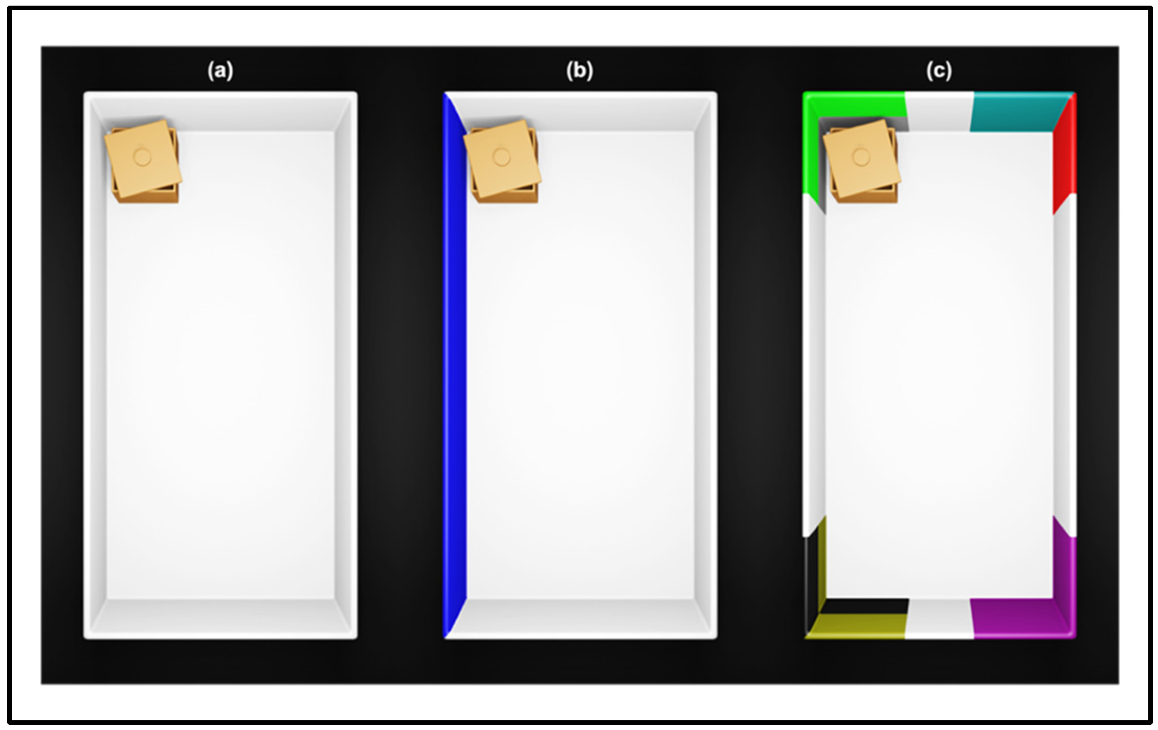 Animals 12 00881 g002 Animals 12 00881 g002