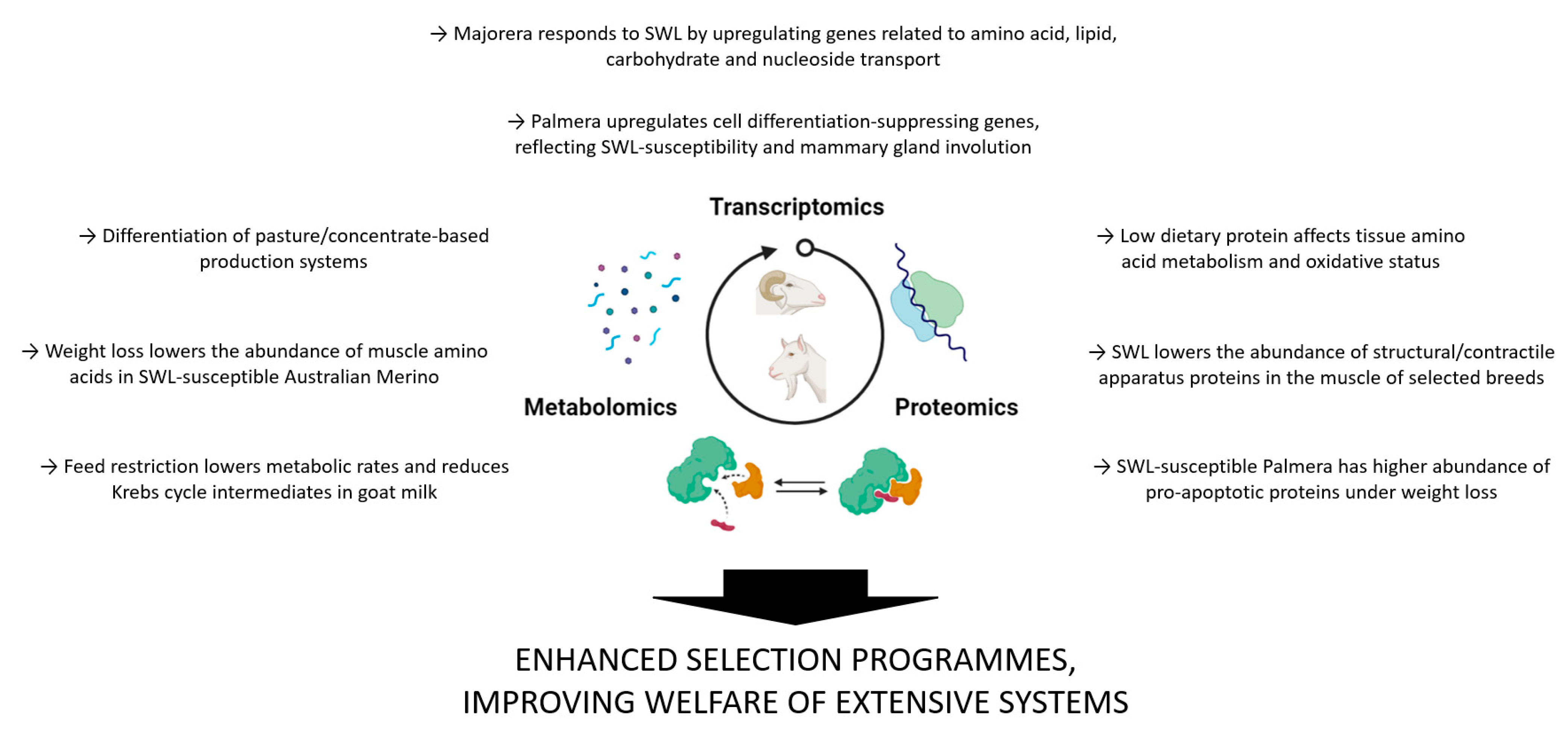 Animals 12 00885 g001 Animals 12 00885 g001