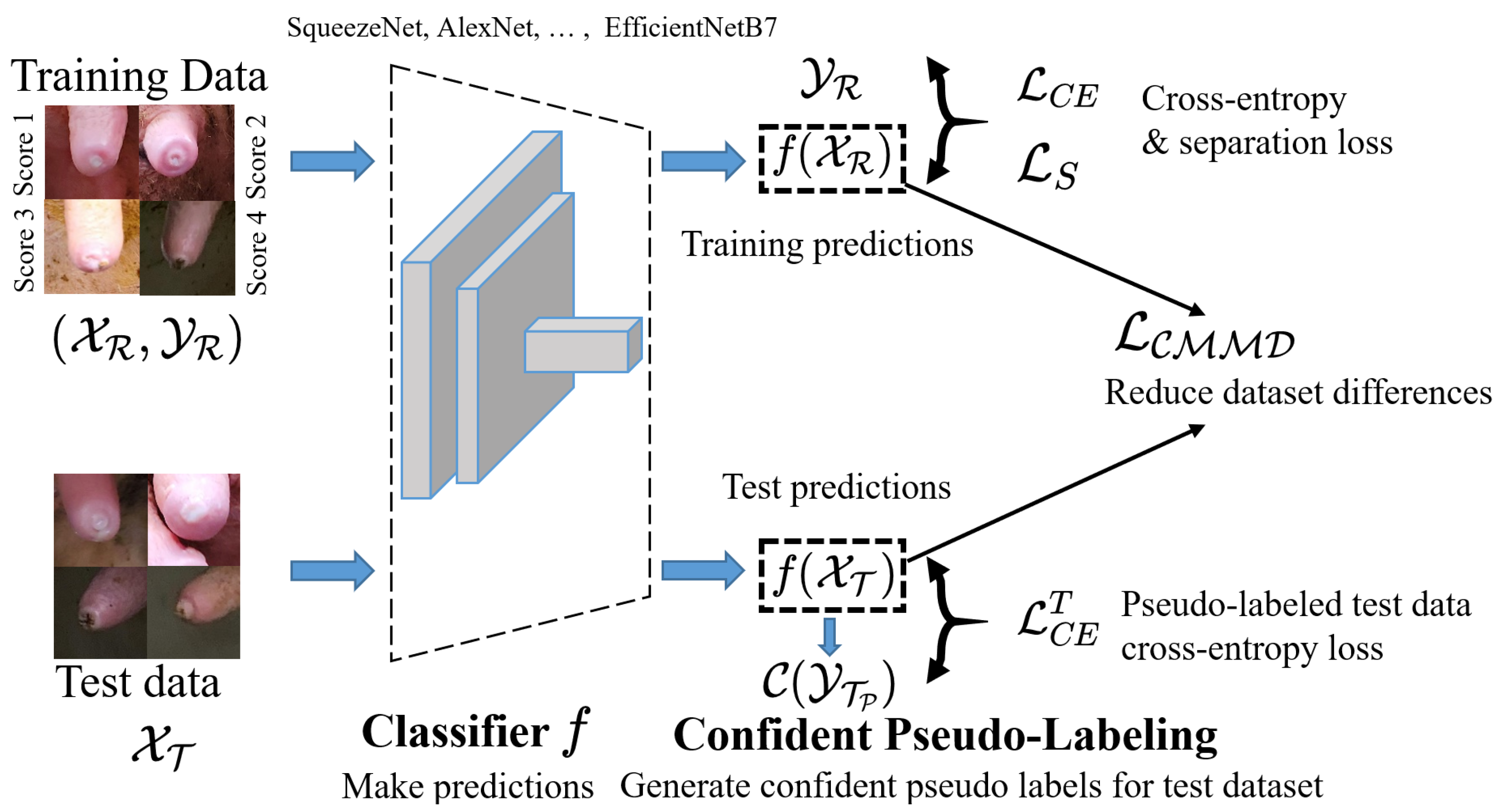 Animals 12 00886 g002 550