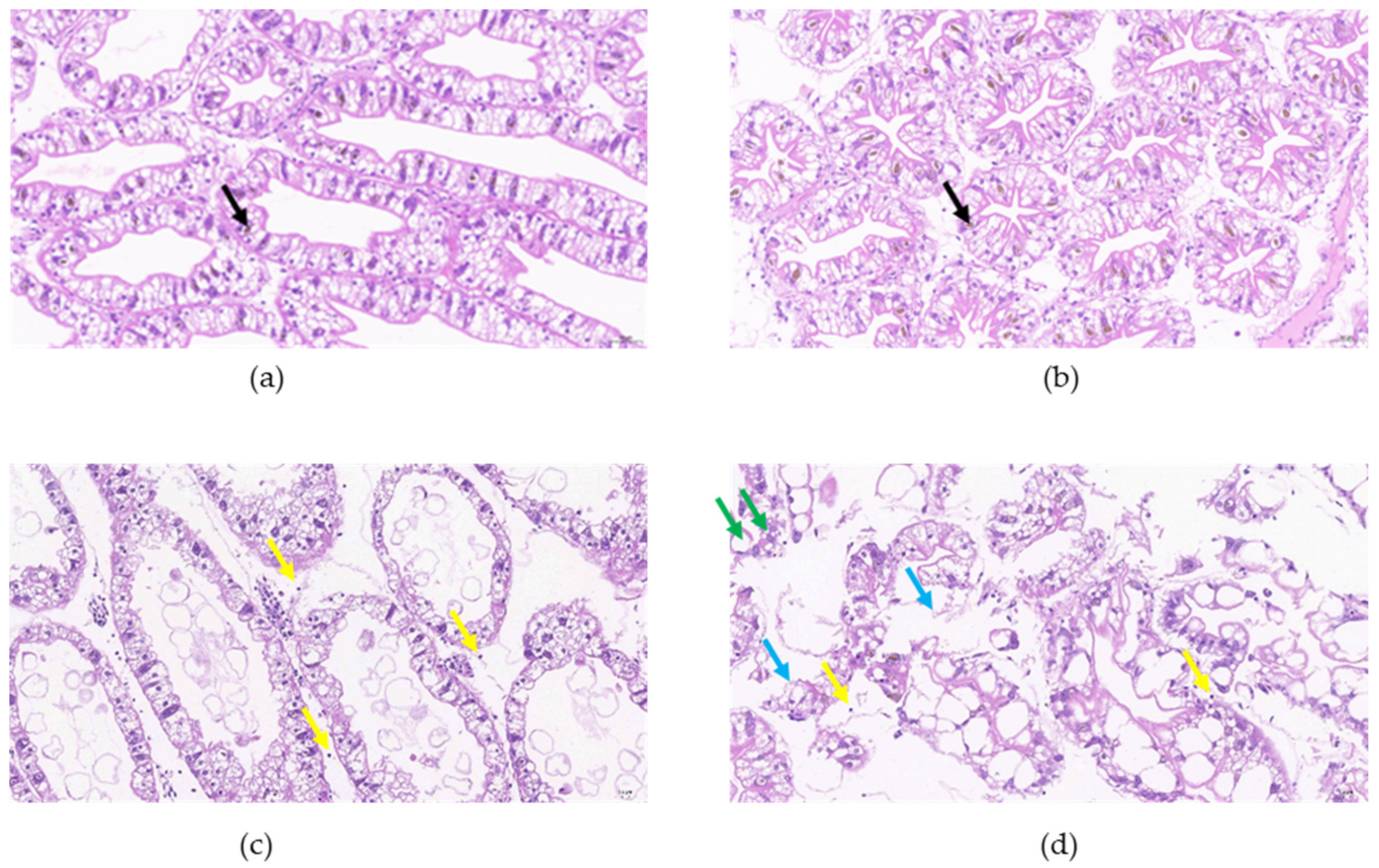 Animals 12 00890 g003 550