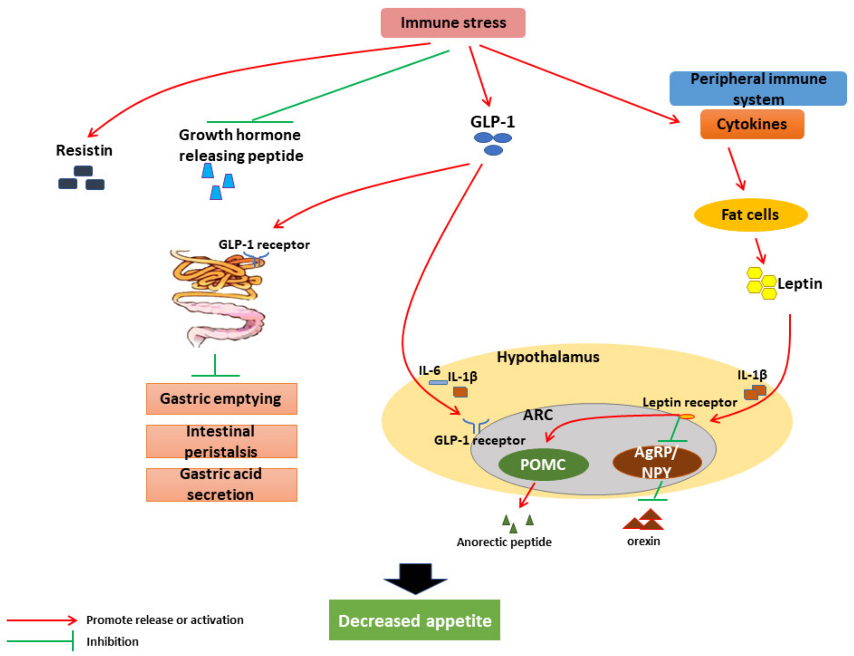 Animals 12 00909 g002