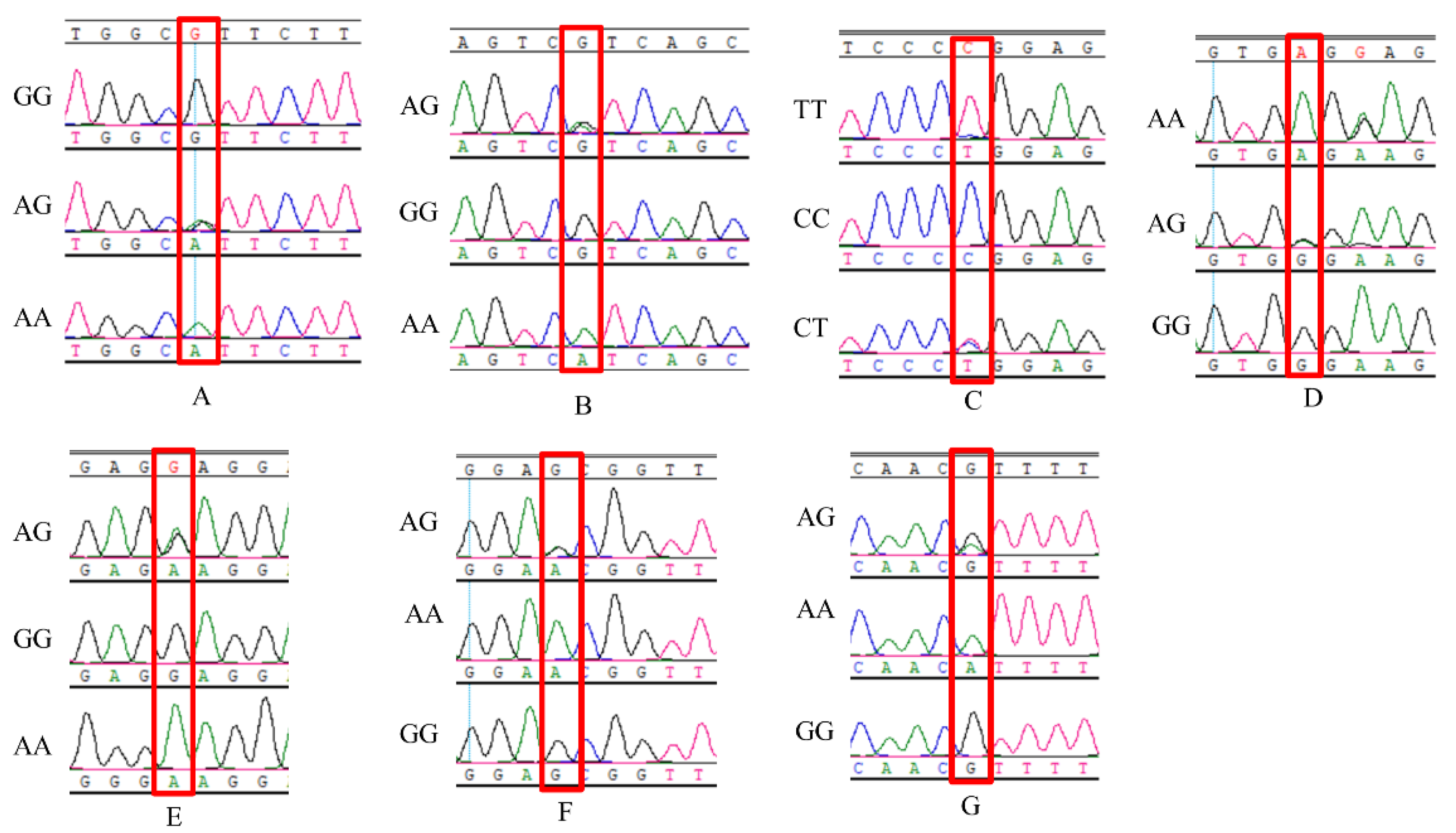 Animals 12 00916 g001