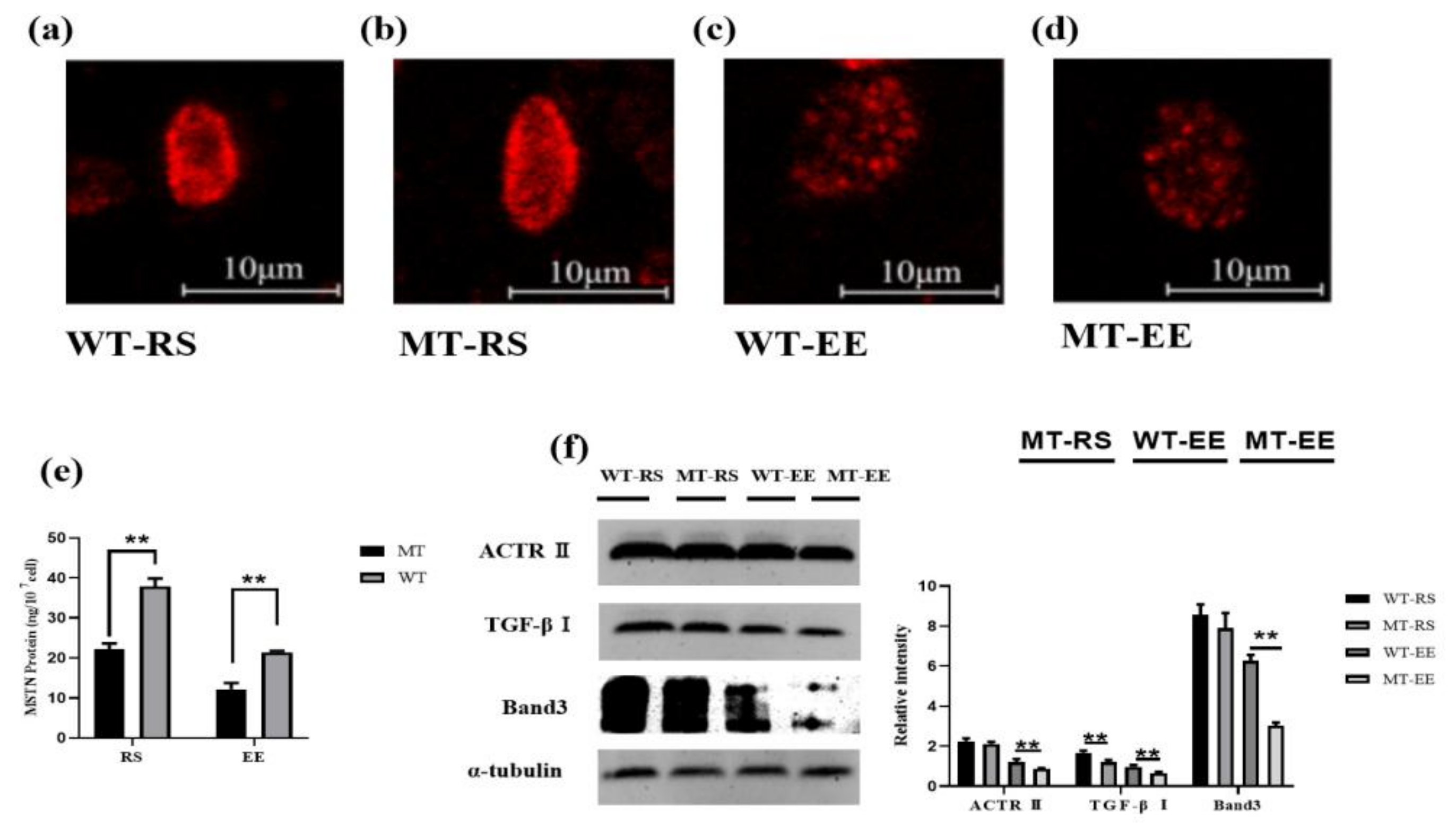 Animals 12 00927 g007