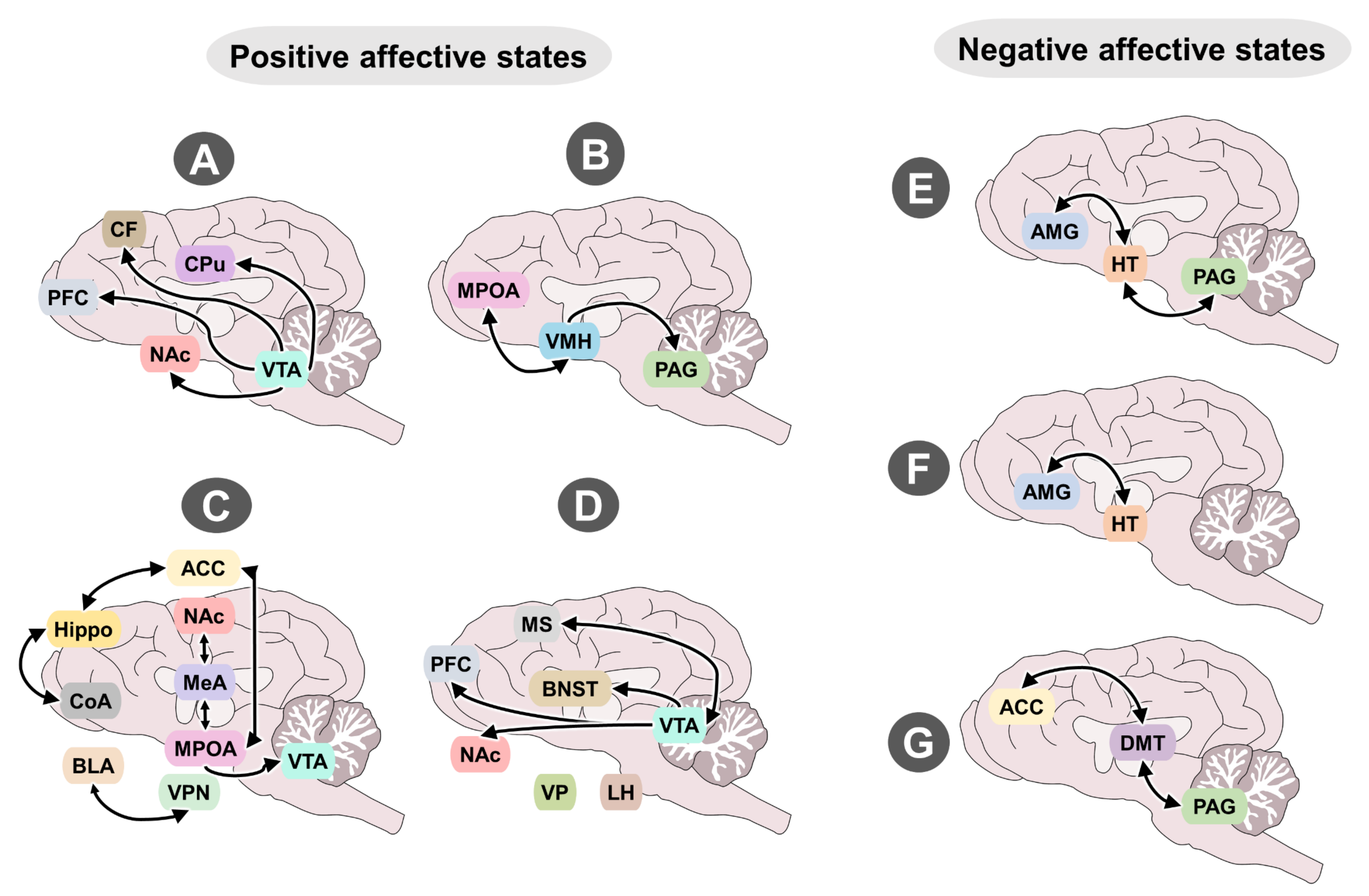 Animals 12 00928 g003