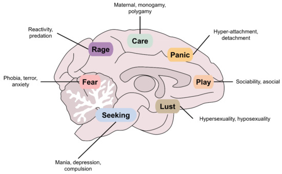 The Neurobiology of Behavior and Its Applicability for