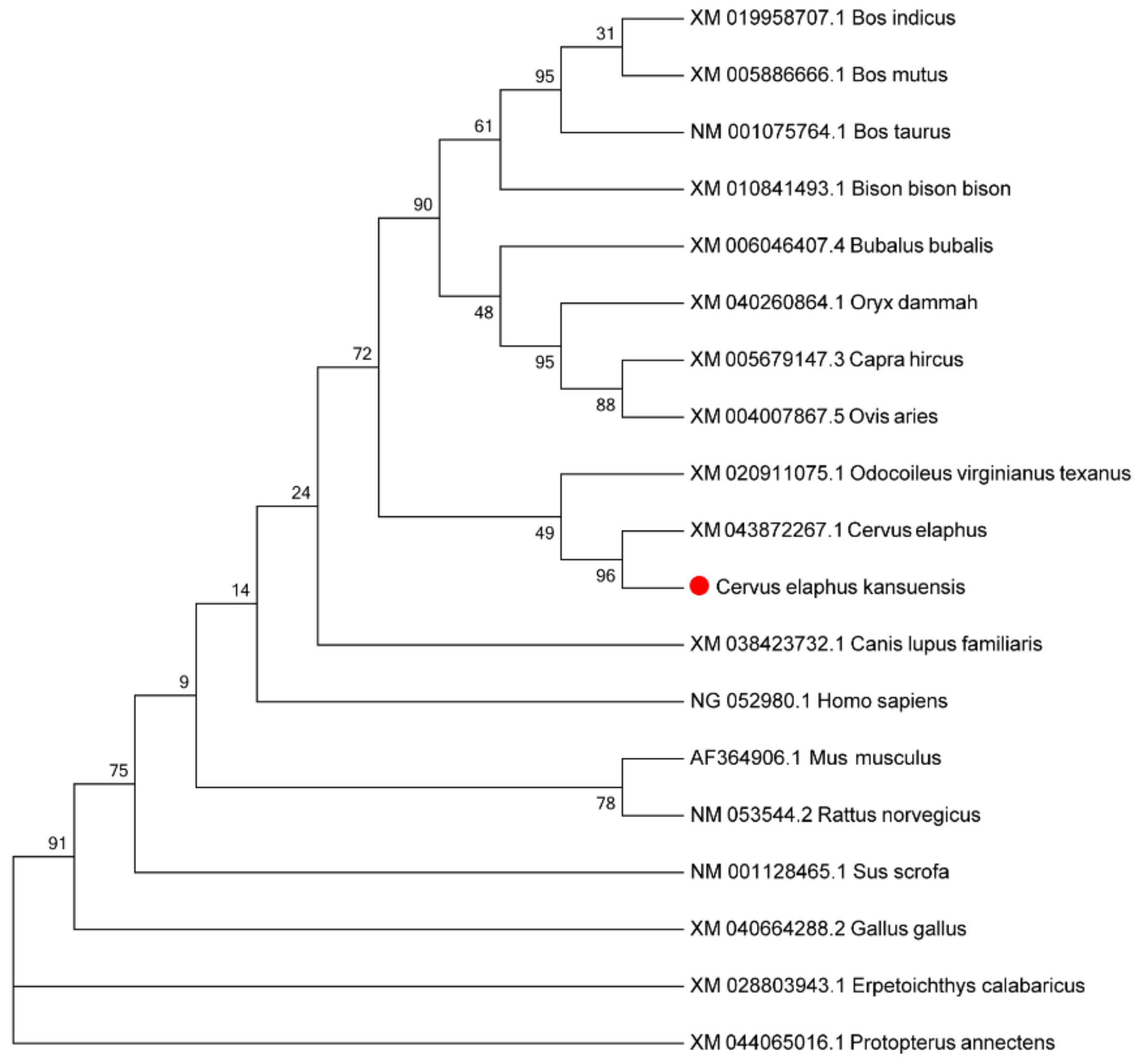 Animals 12 00934 g015 550