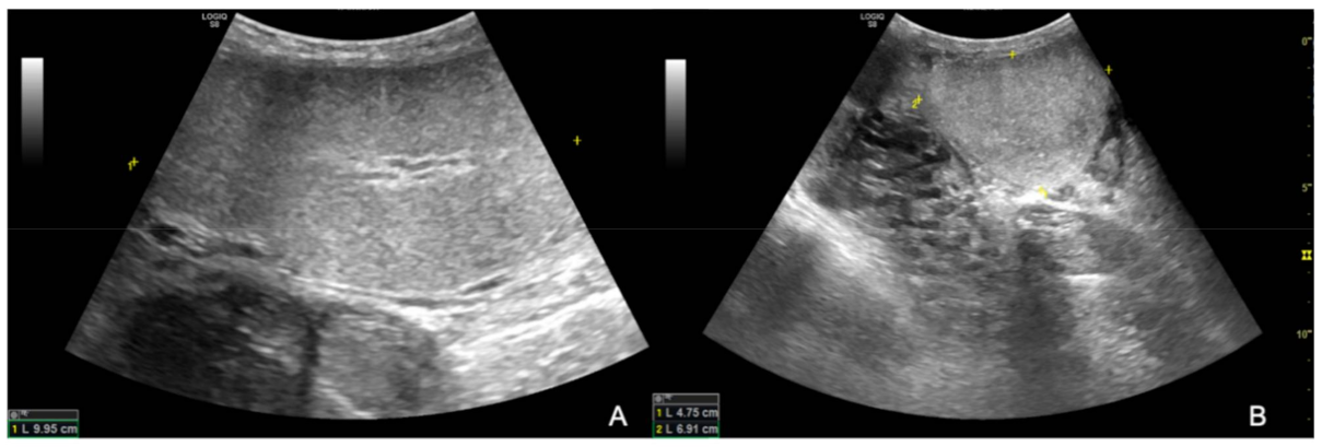 Animals 12 00936 g002 550
