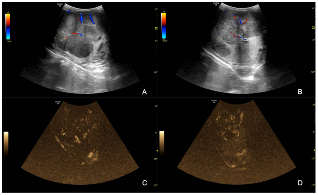 Animals 12 00936 g004 550