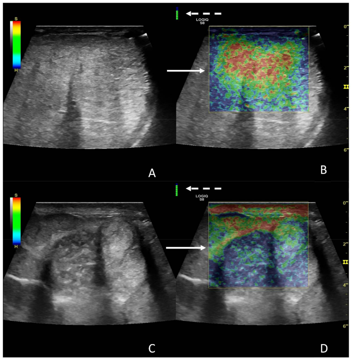 Animals 12 00936 g005 550