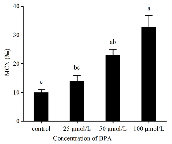 Bisphenol A Interferes with Redox Balance and the Nrf2