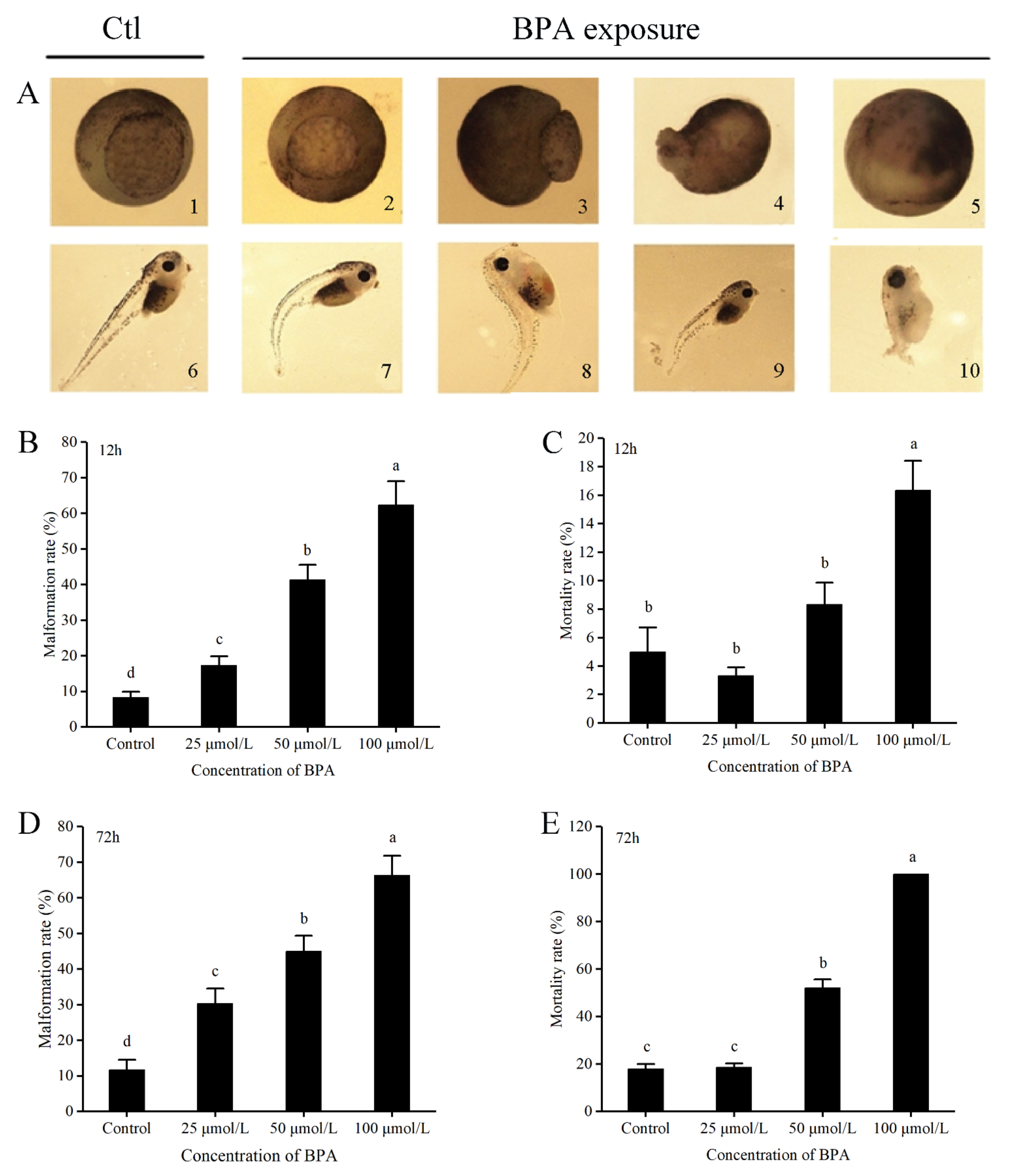 Animals 12 00937 g002 550