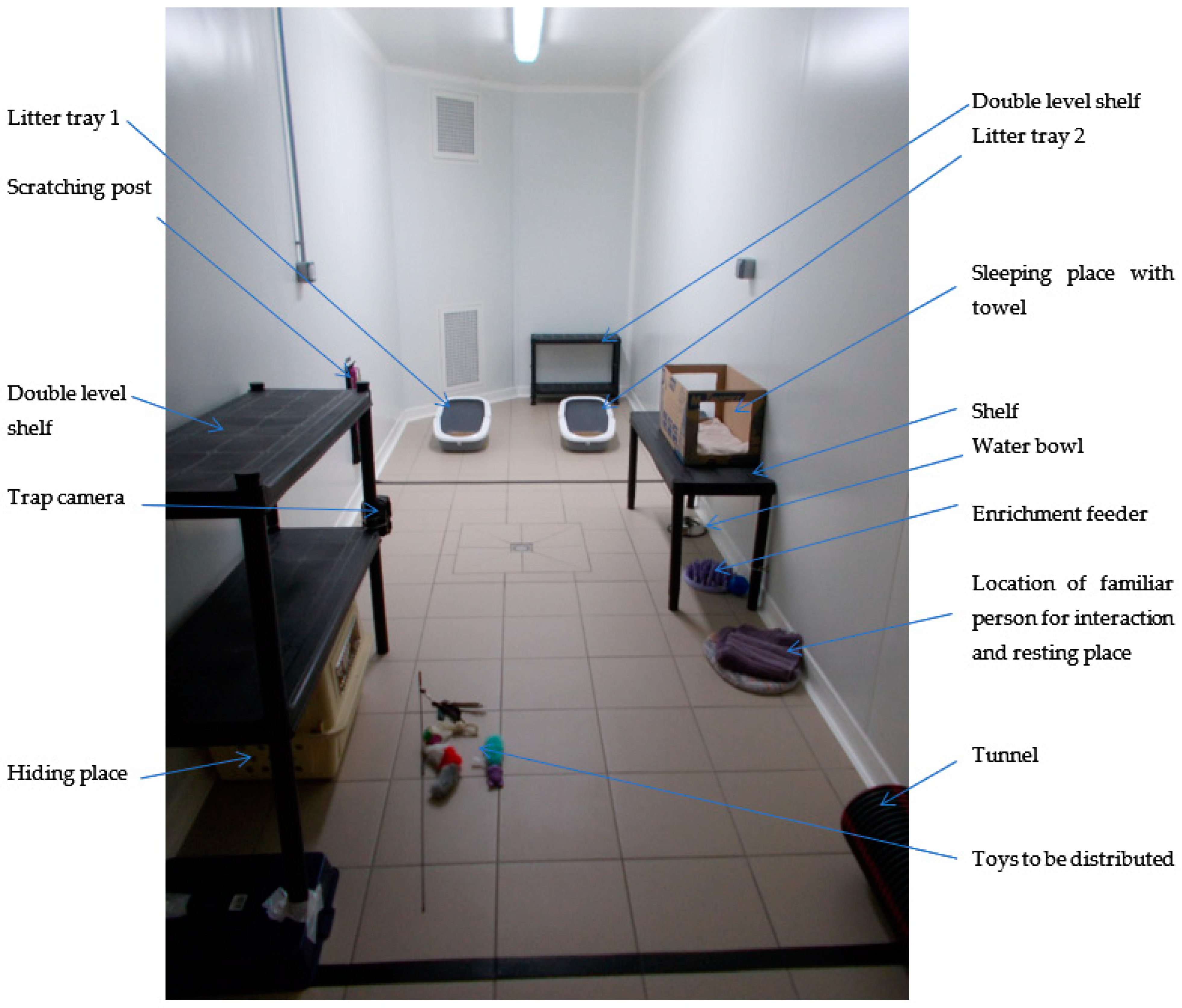 Animals 12 00938 g001 550