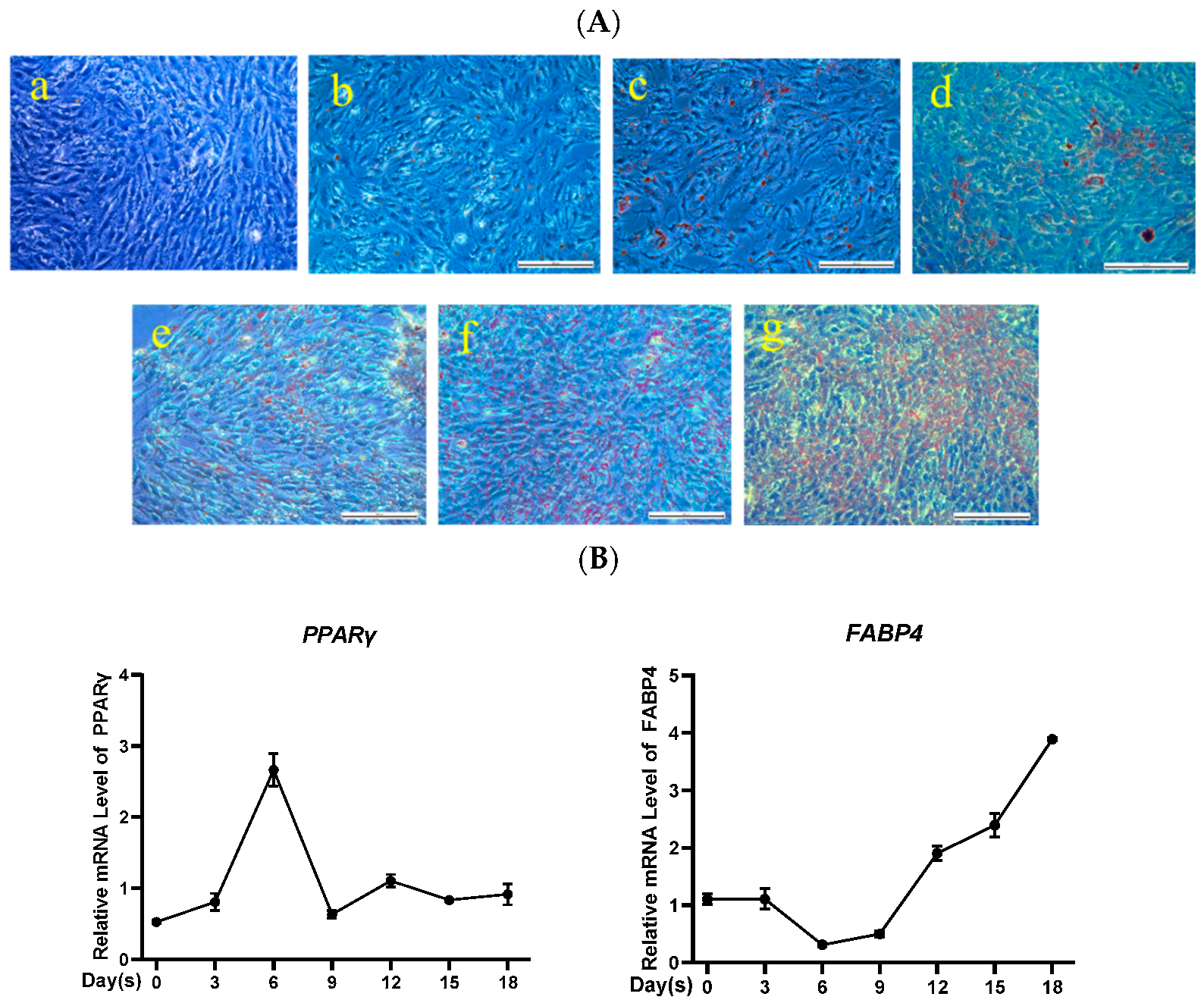 Animals 12 00944 g001