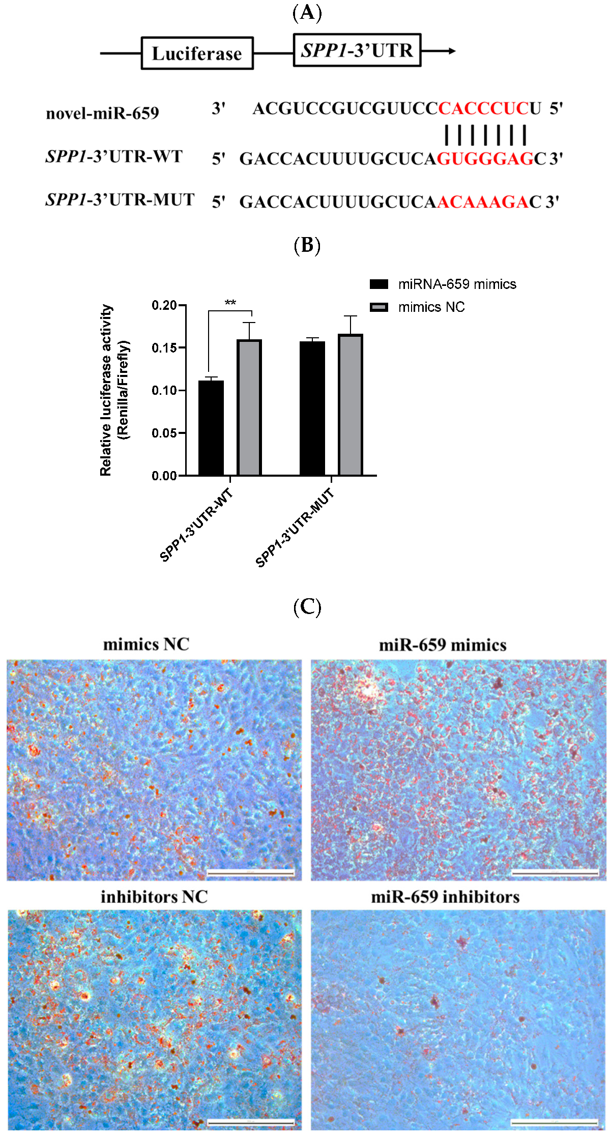 Animals 12 00944 g005a