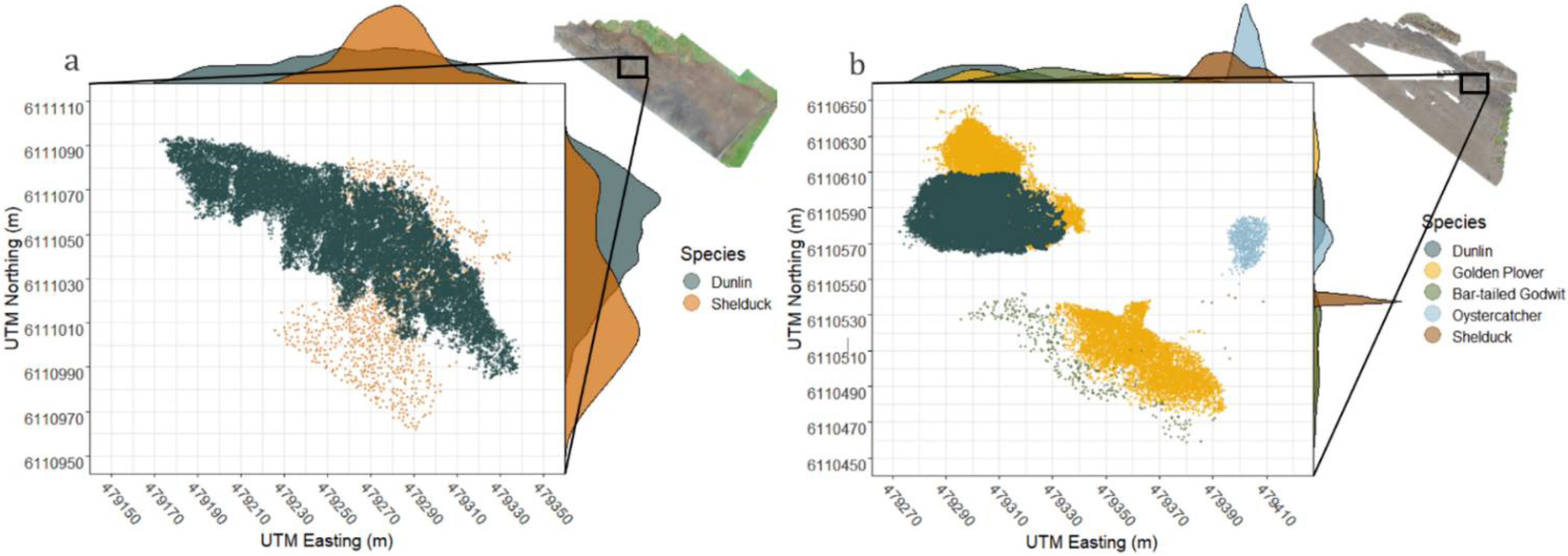 Animals 12 00947 g004 Animals 12 00947 g004