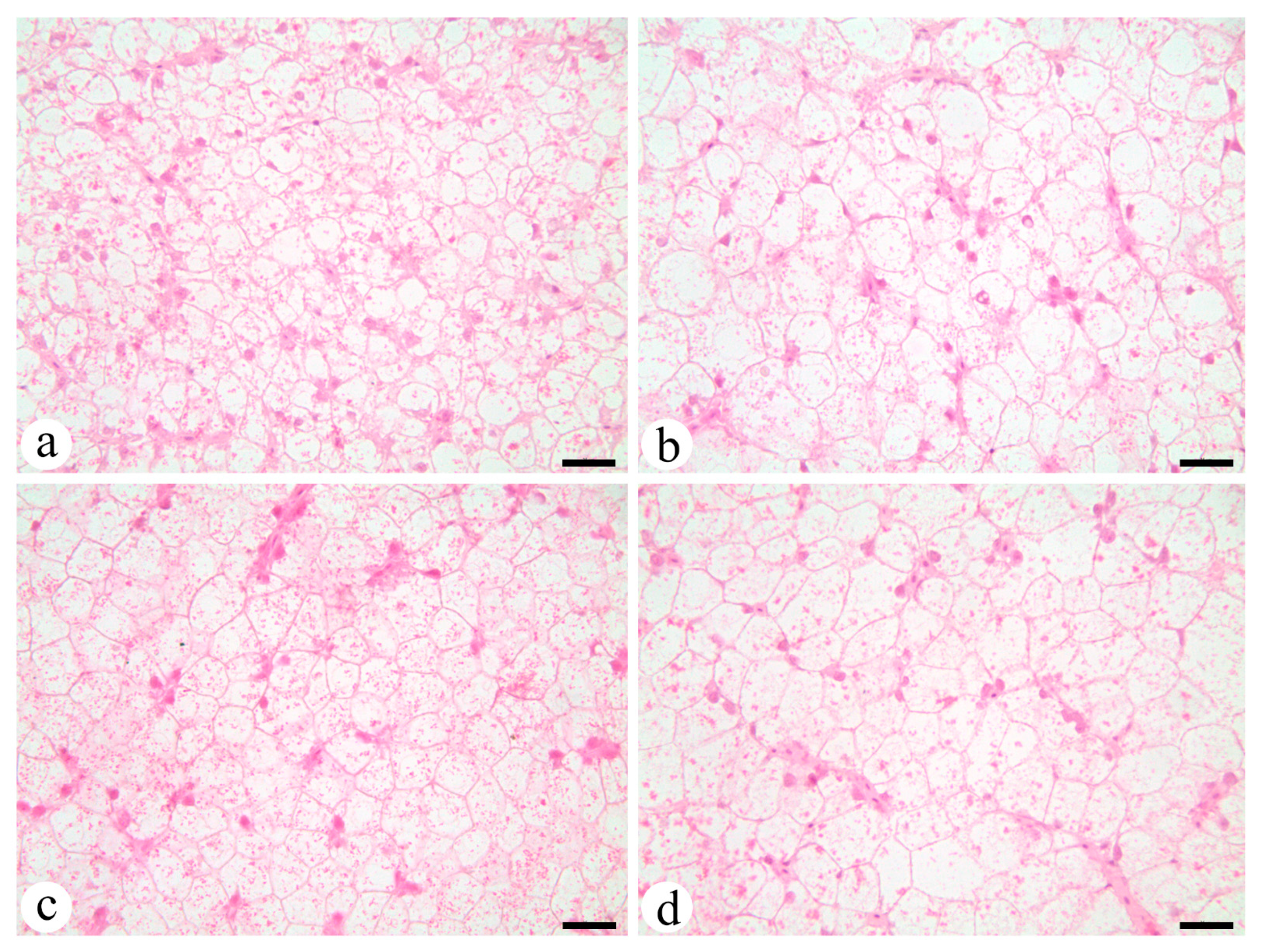 Animals 12 00951 g002