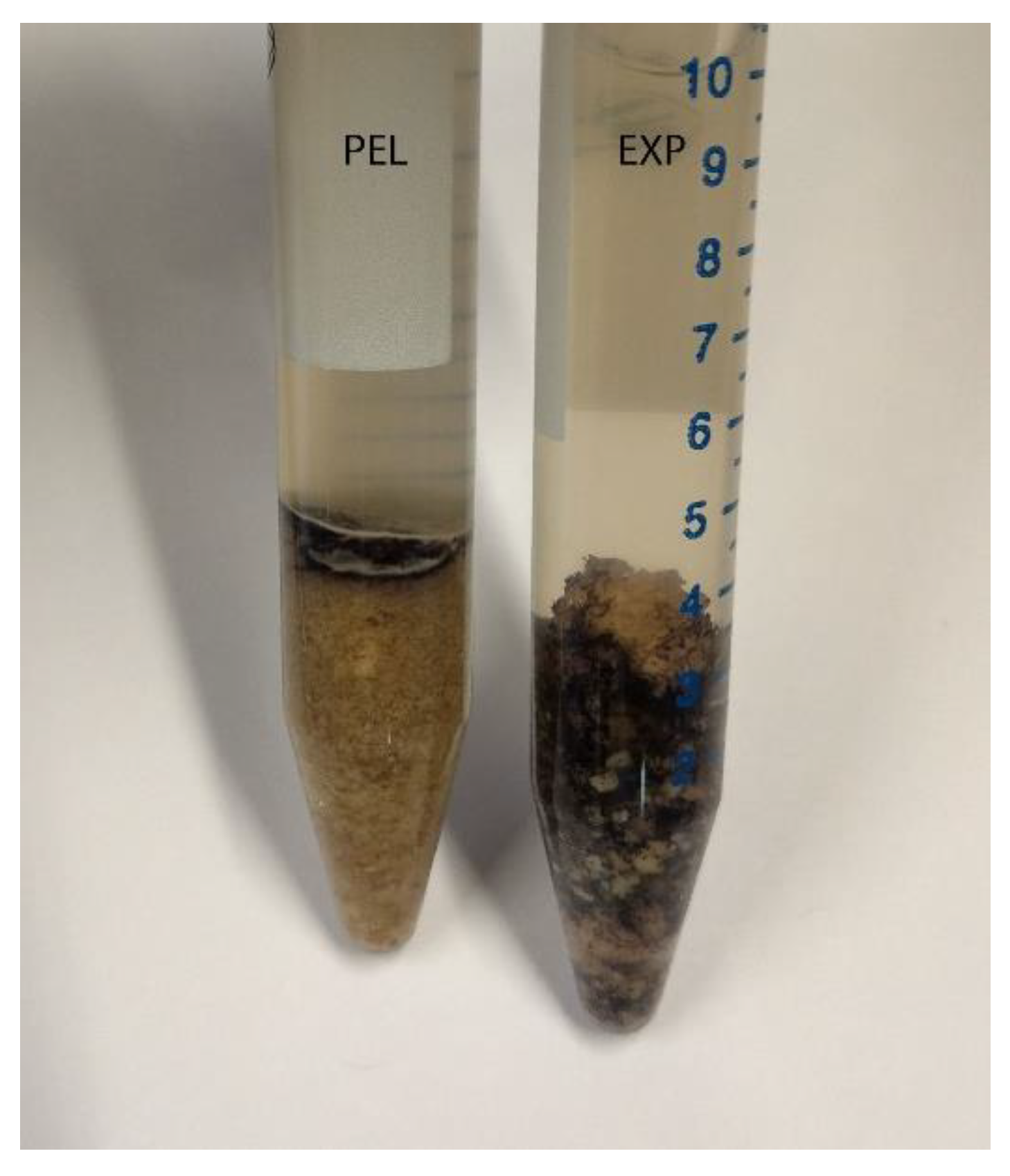 Animals 12 00952 g001 550