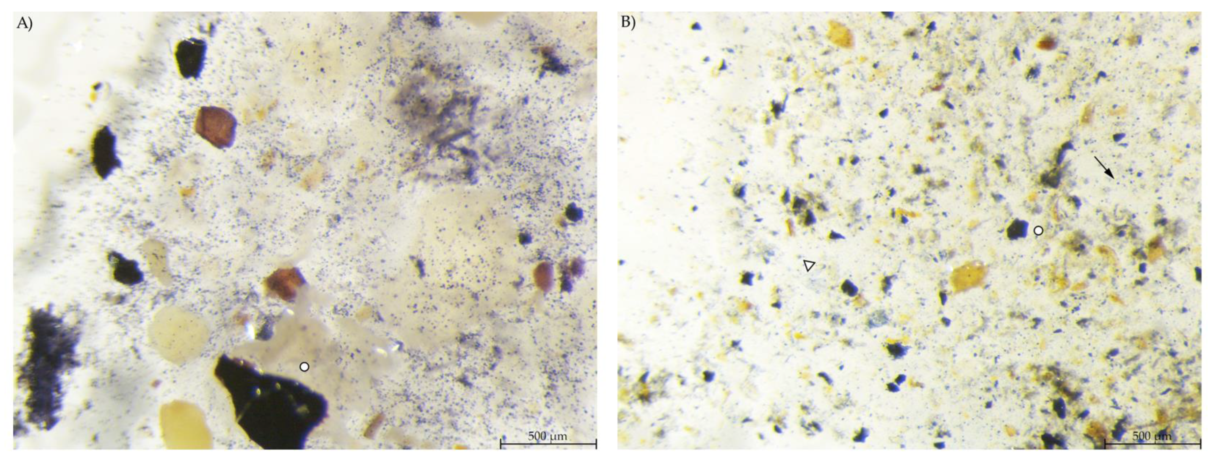 Animals 12 00952 g005 550