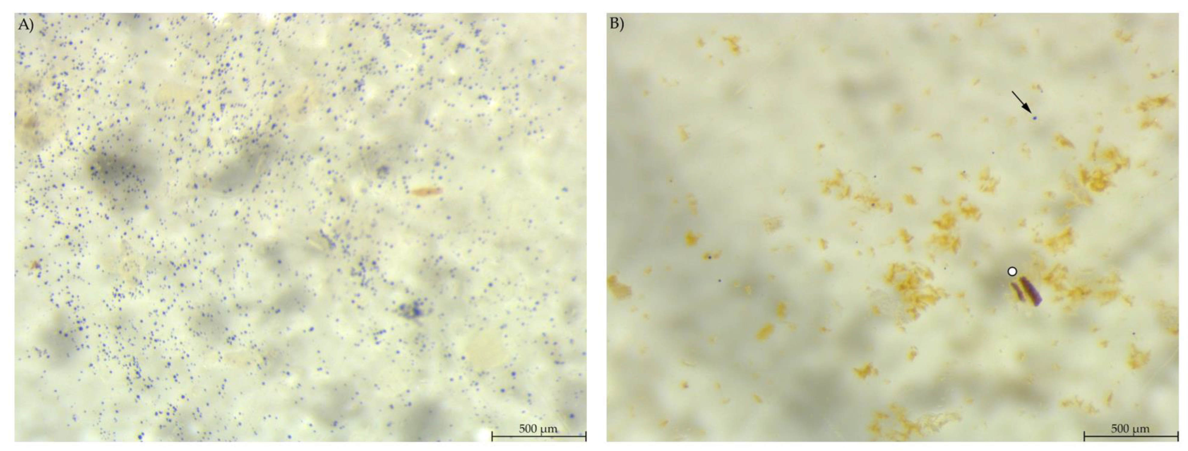 Animals 12 00952 g006 550