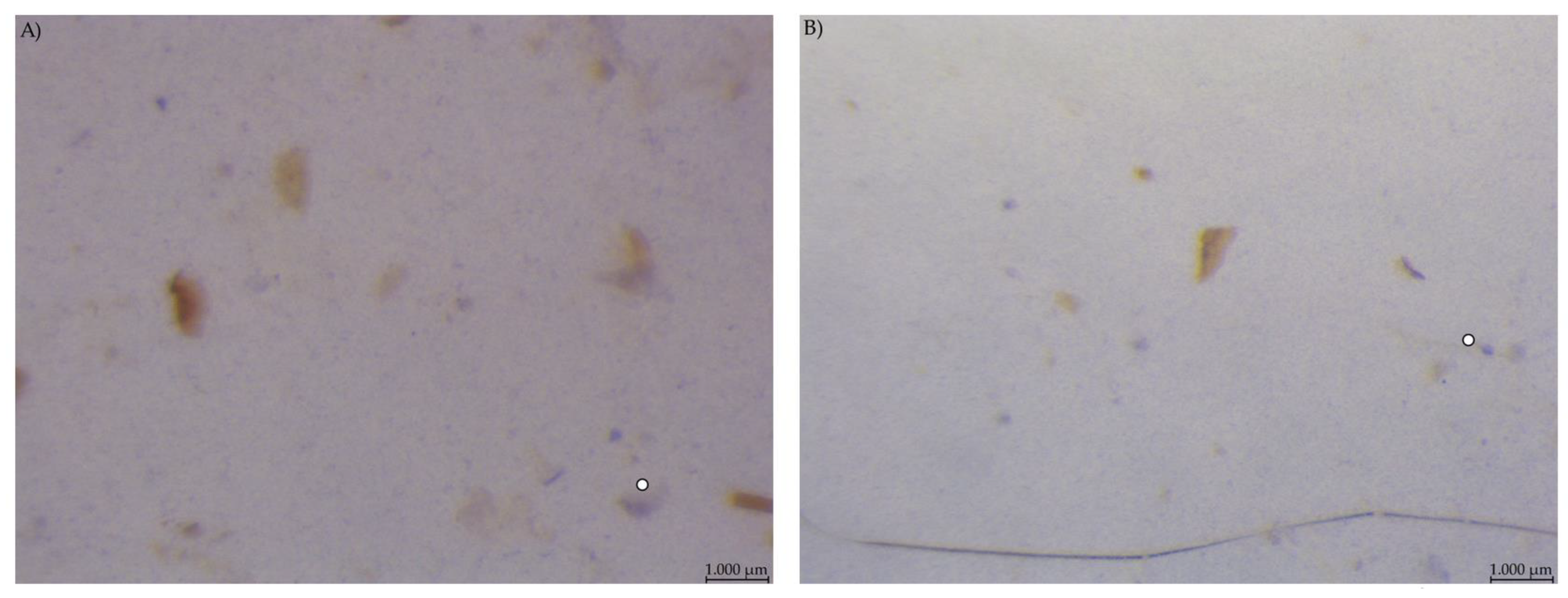 Animals 12 00952 g007 550