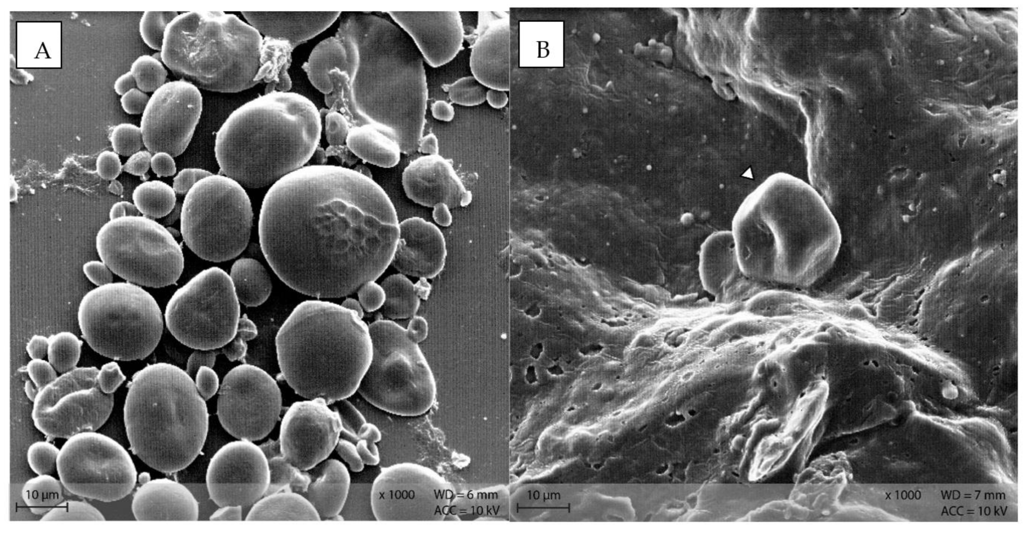 Animals 12 00952 g009 550