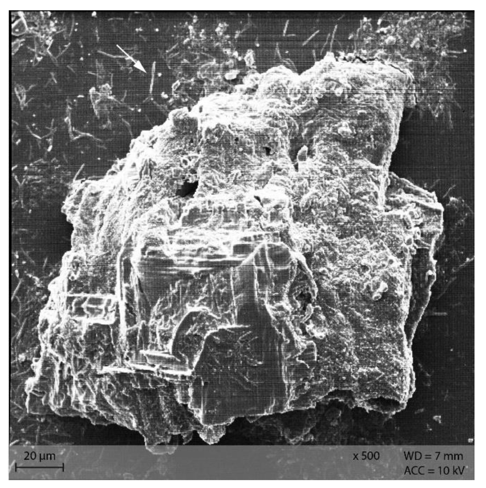 Animals 12 00952 g013 550