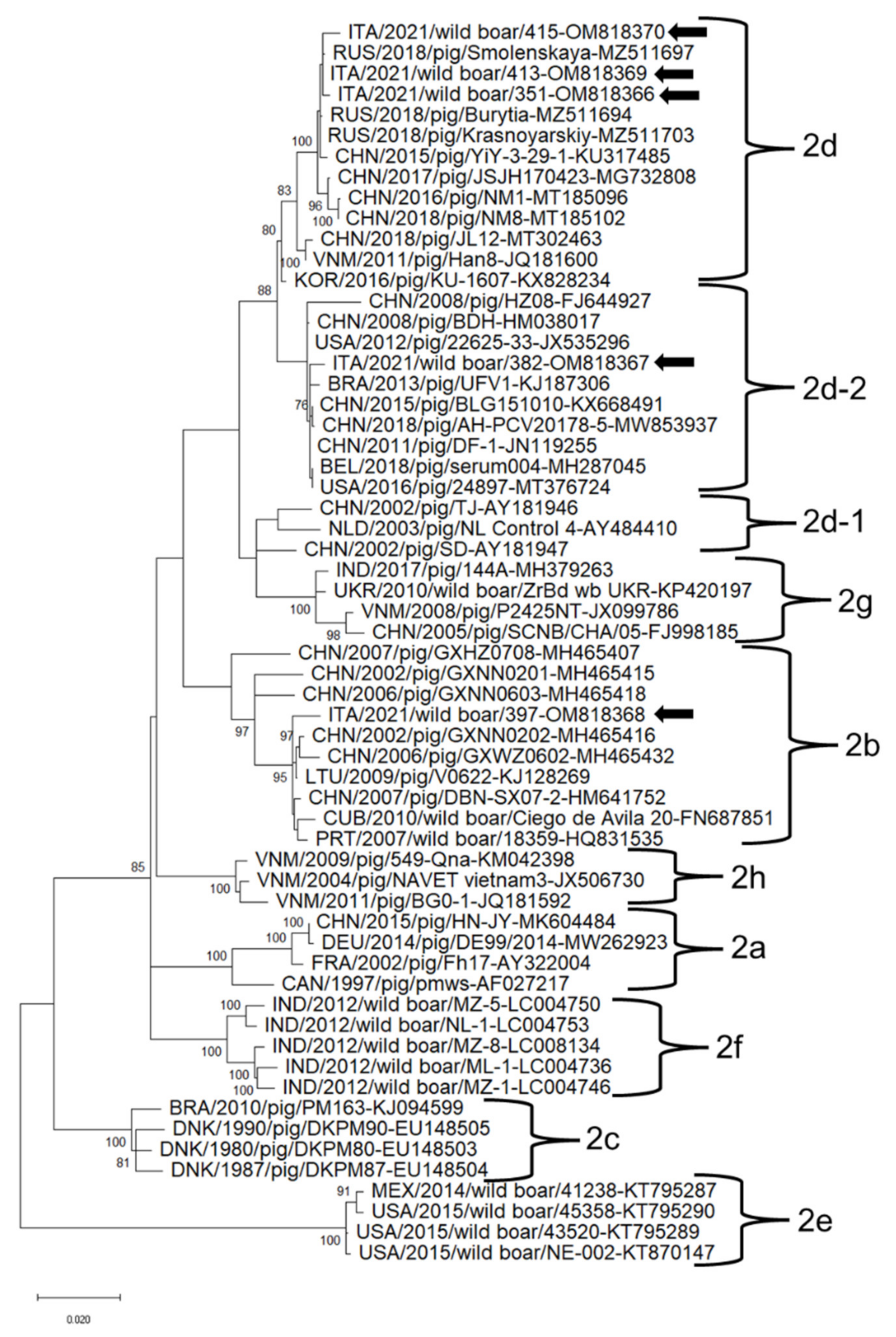 Animals 12 00953 g002
