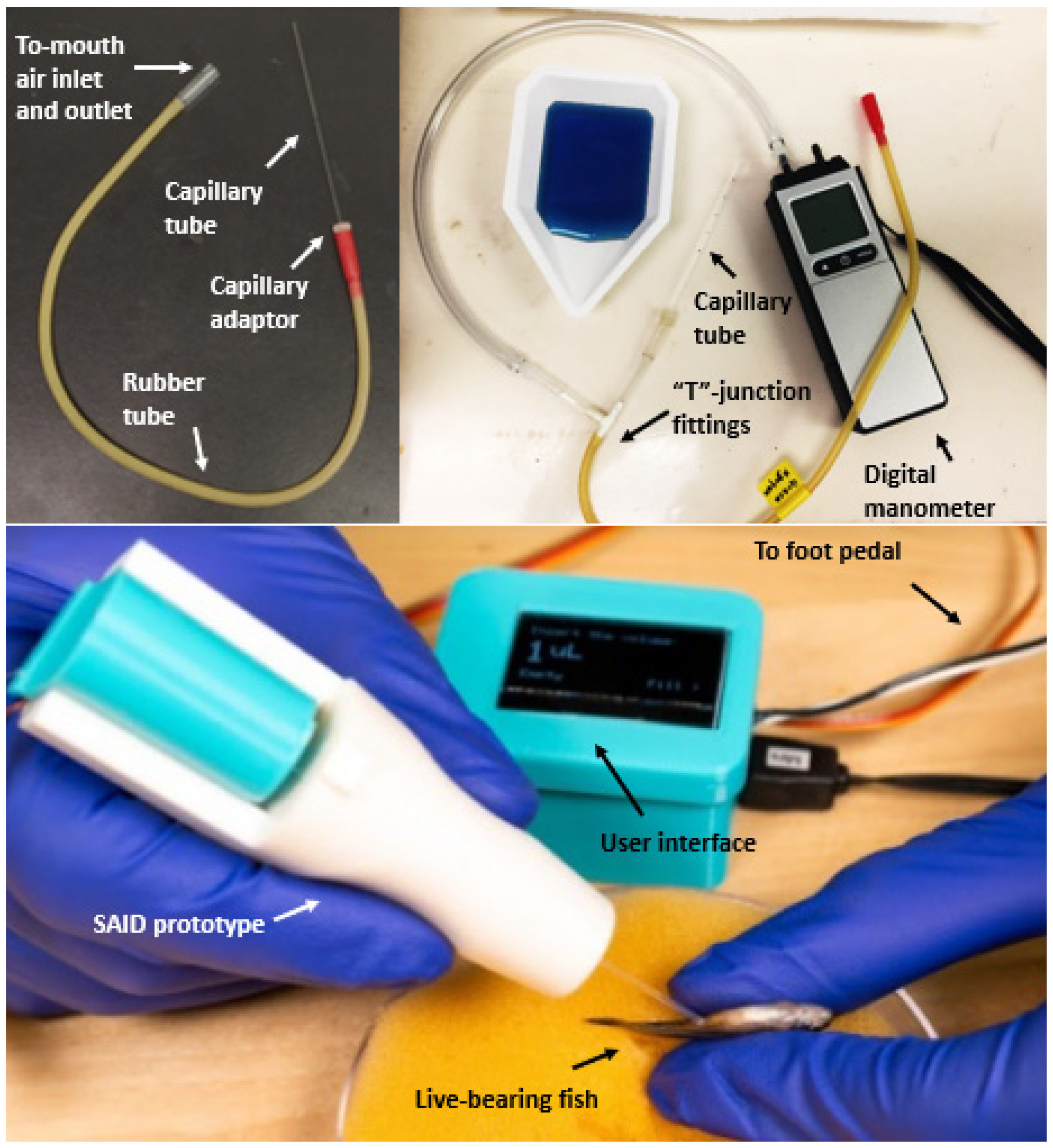 Animals Free FullText An OpenHardware Insemination Device for