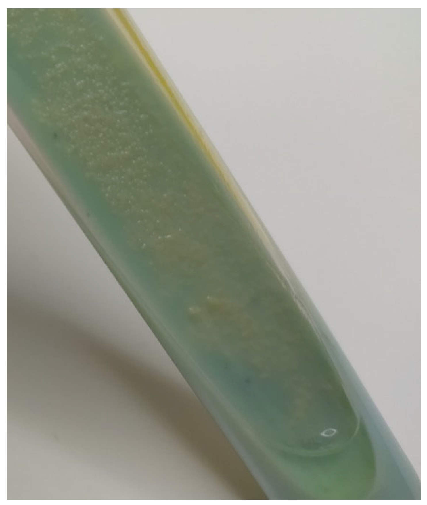 Animals 12 00964 g001