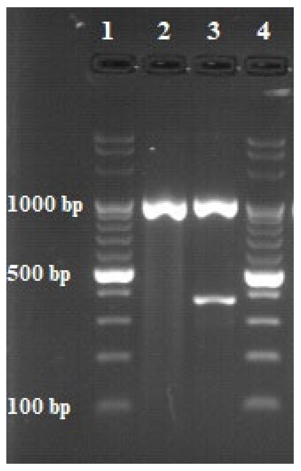 Animals 12 00964 g003