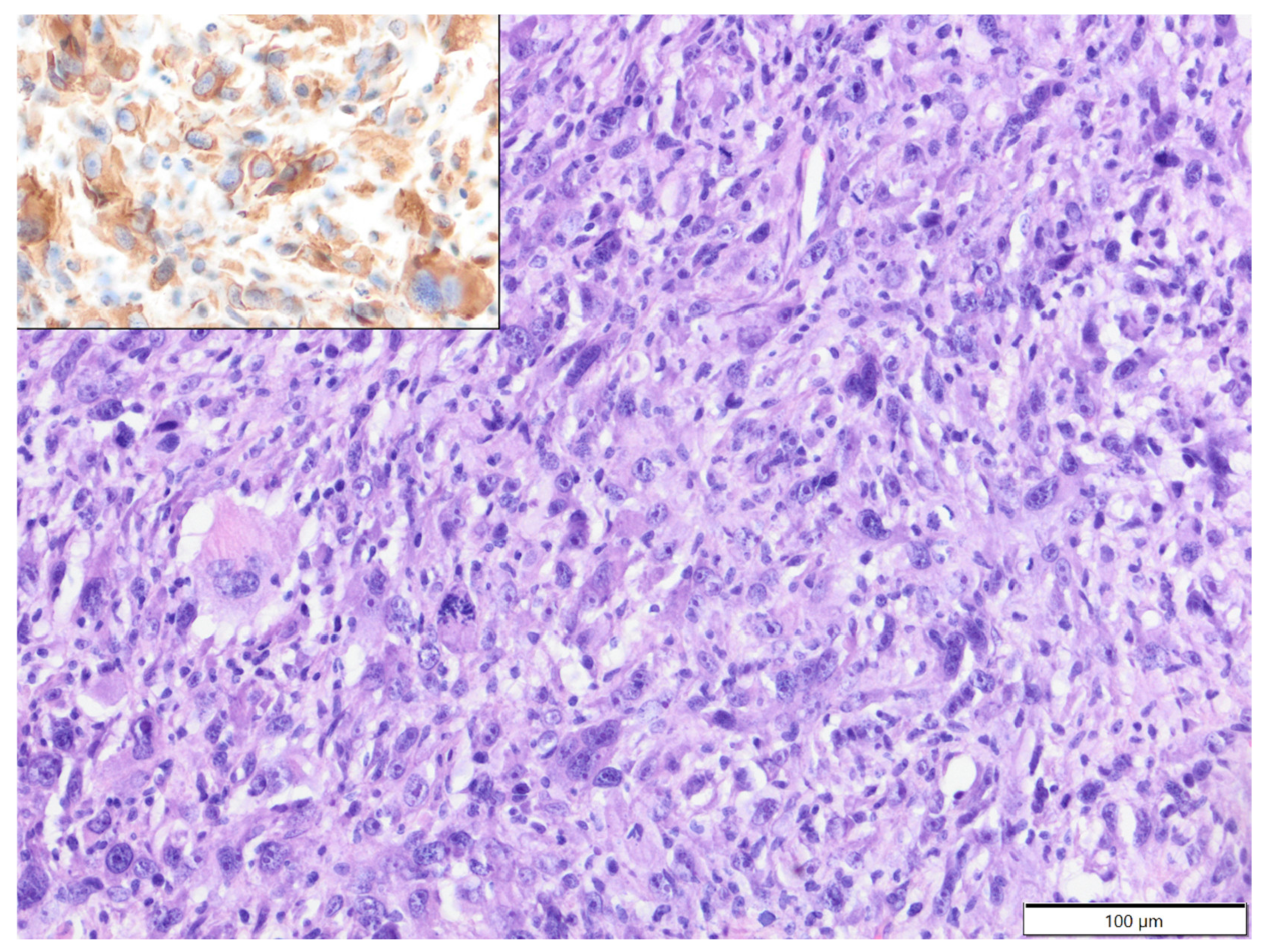 Animals 12 00965 g005