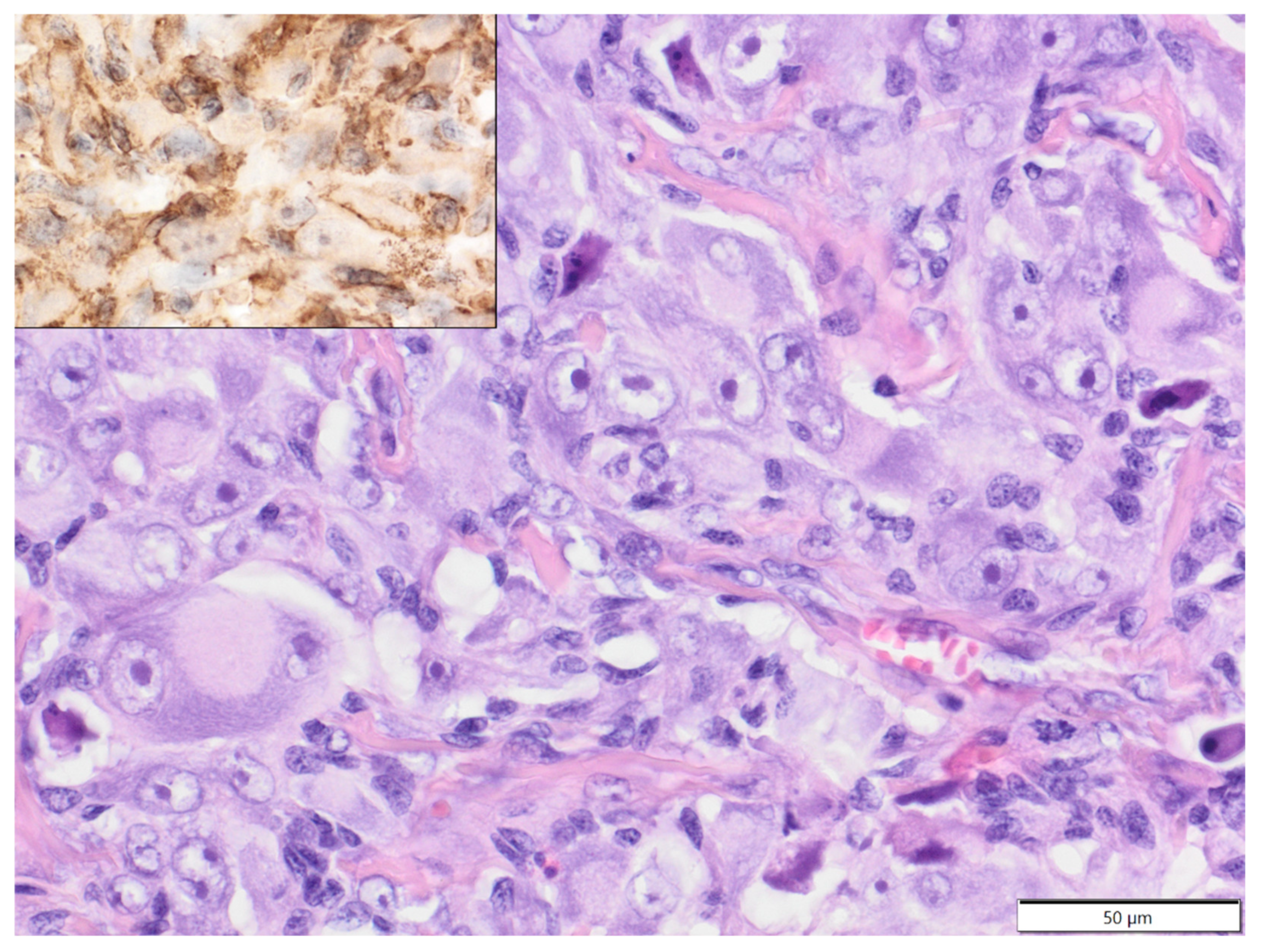 Animals 12 00965 g006