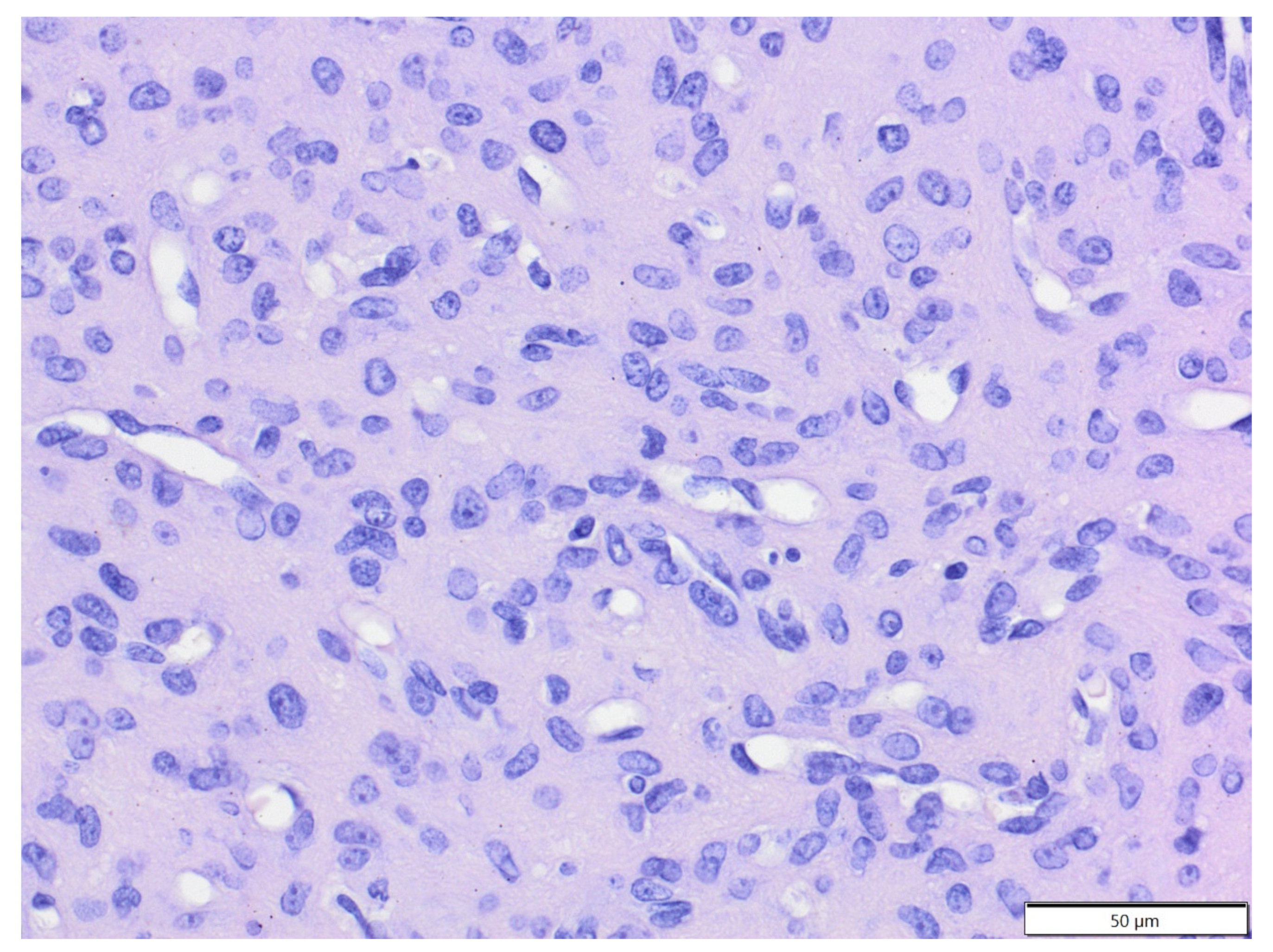 Animals 12 00965 g008