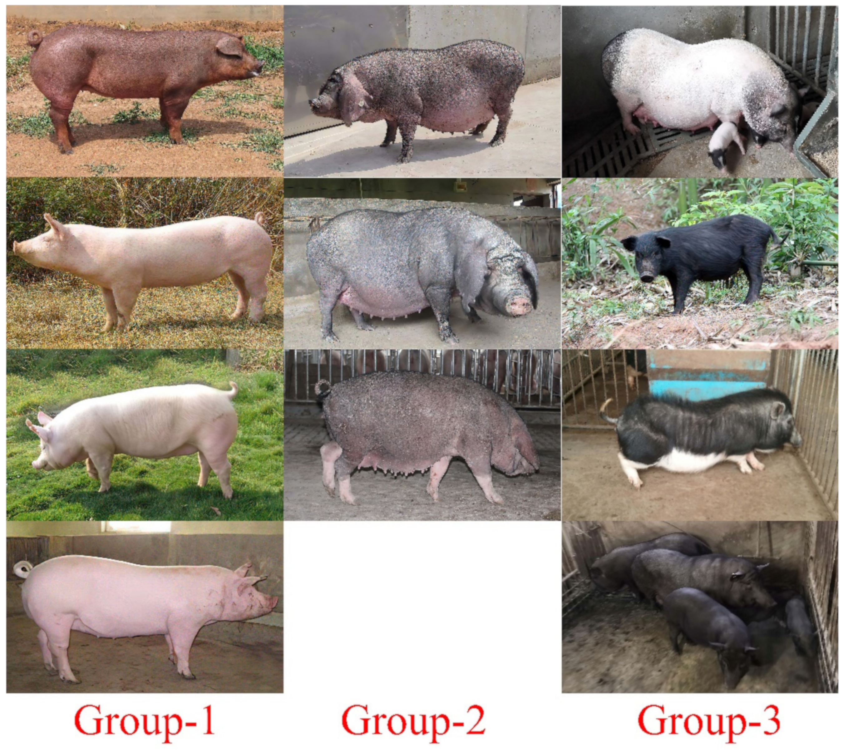 Animals 12 00969 g001