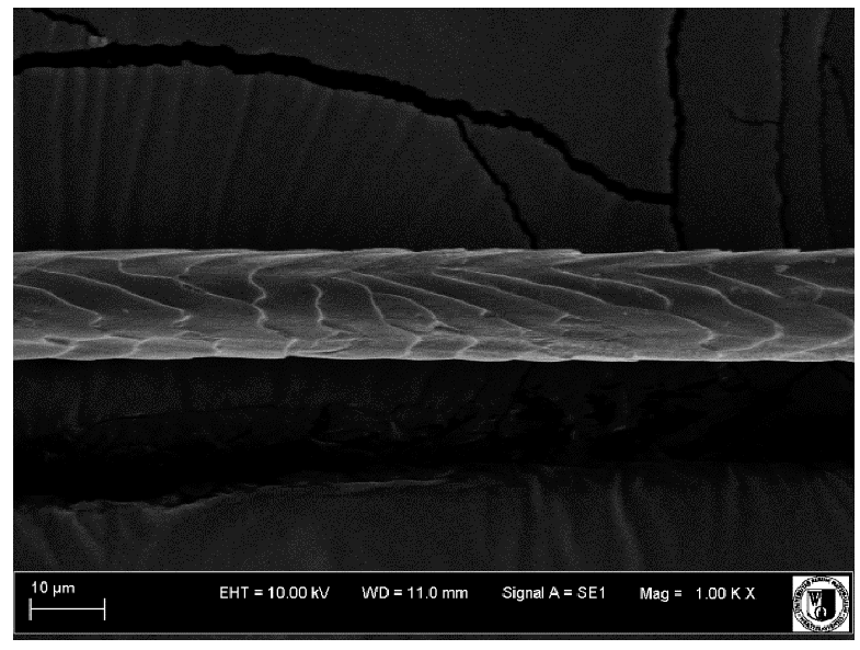 Animals 12 00971 i002