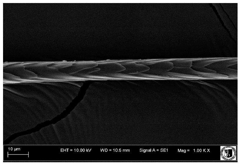 Animals 12 00971 i004