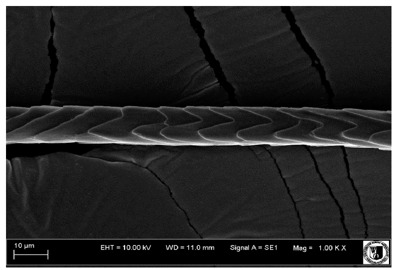 Animals 12 00971 i005