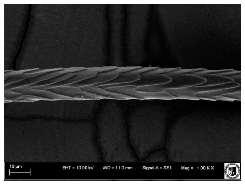 Animals 12 00971 i007