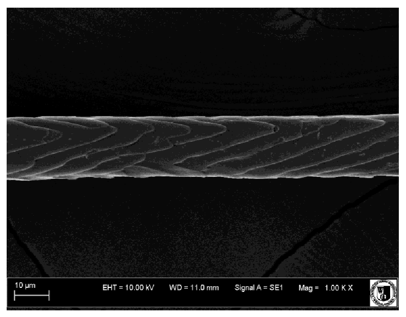 Animals 12 00971 i008