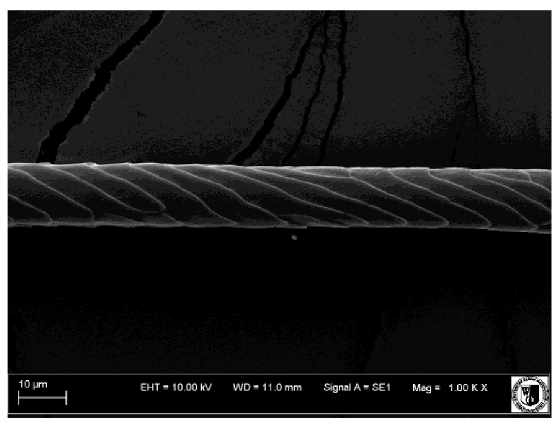 Animals 12 00971 i009