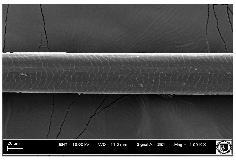 Animals 12 00971 i010