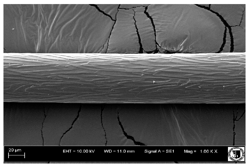 Animals 12 00971 i011