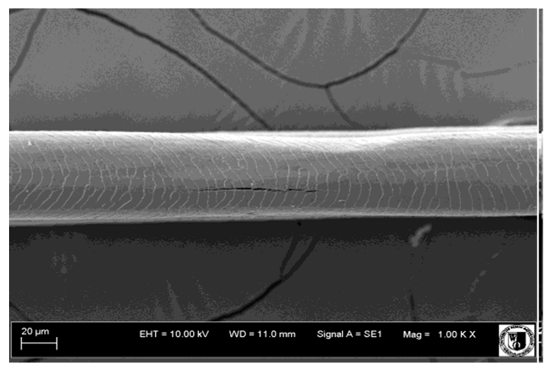 Animals 12 00971 i012