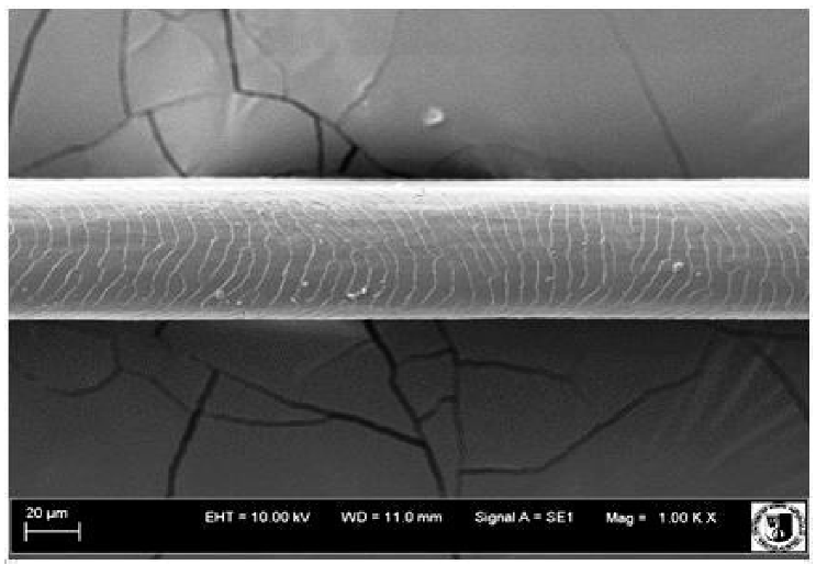 Animals 12 00971 i014