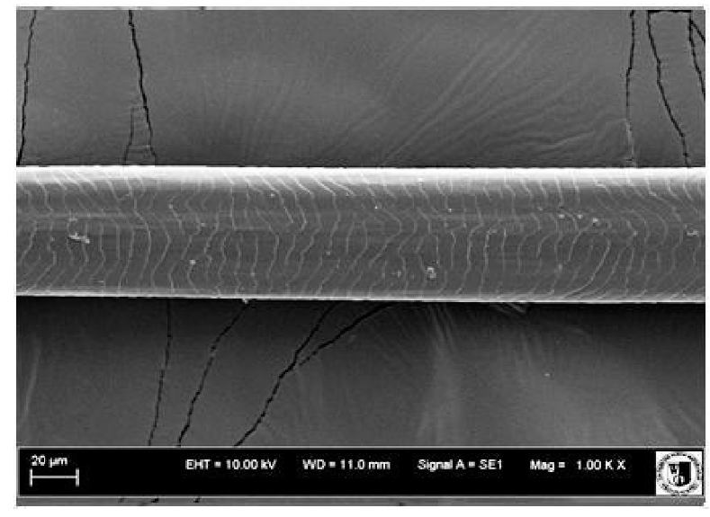 Animals 12 00971 i016