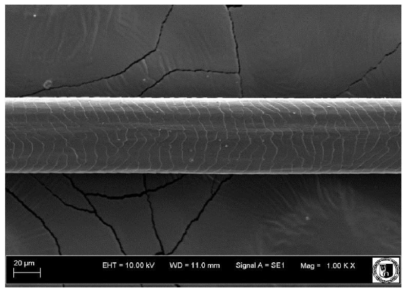 Animals 12 00971 i017