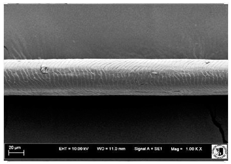 Animals 12 00971 i018