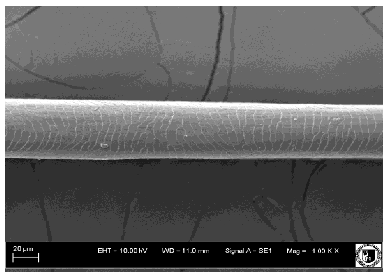 Animals 12 00971 i019